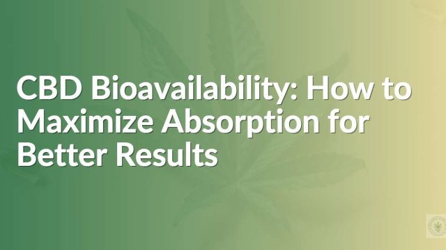 CBD absorption optimization guide