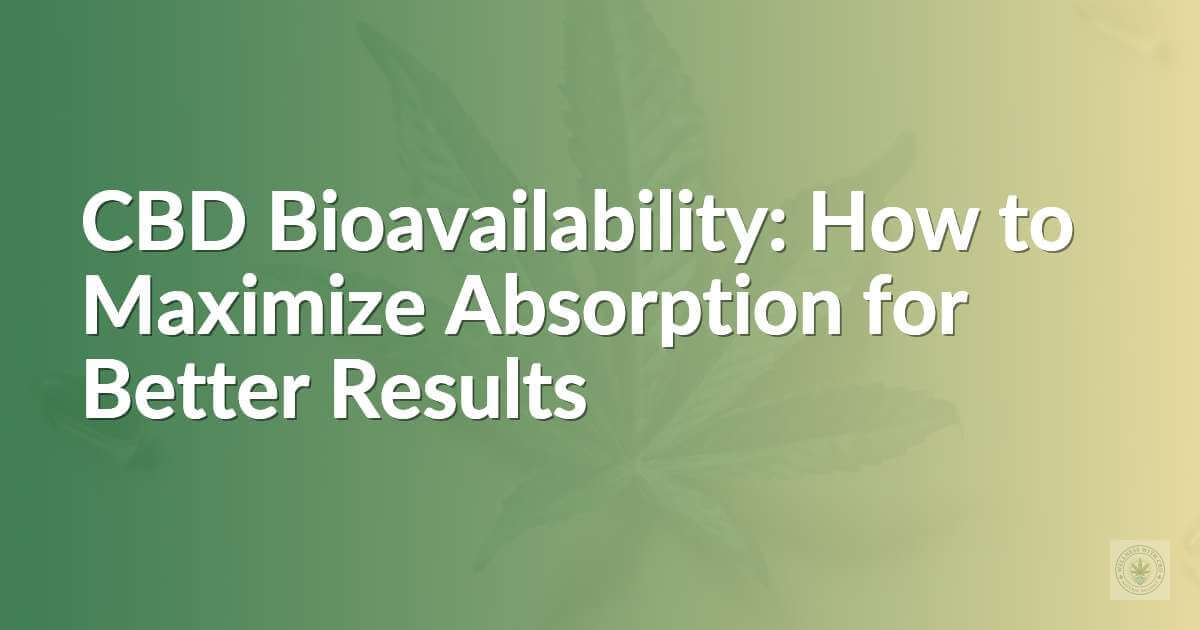 CBD absorption optimization guide