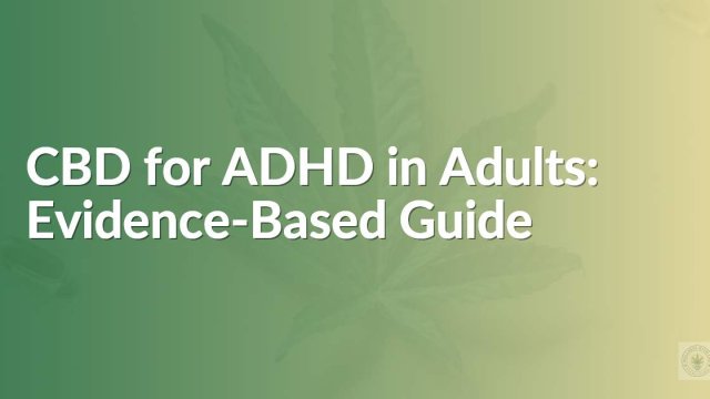 CBD guide for adult ADHD treatment