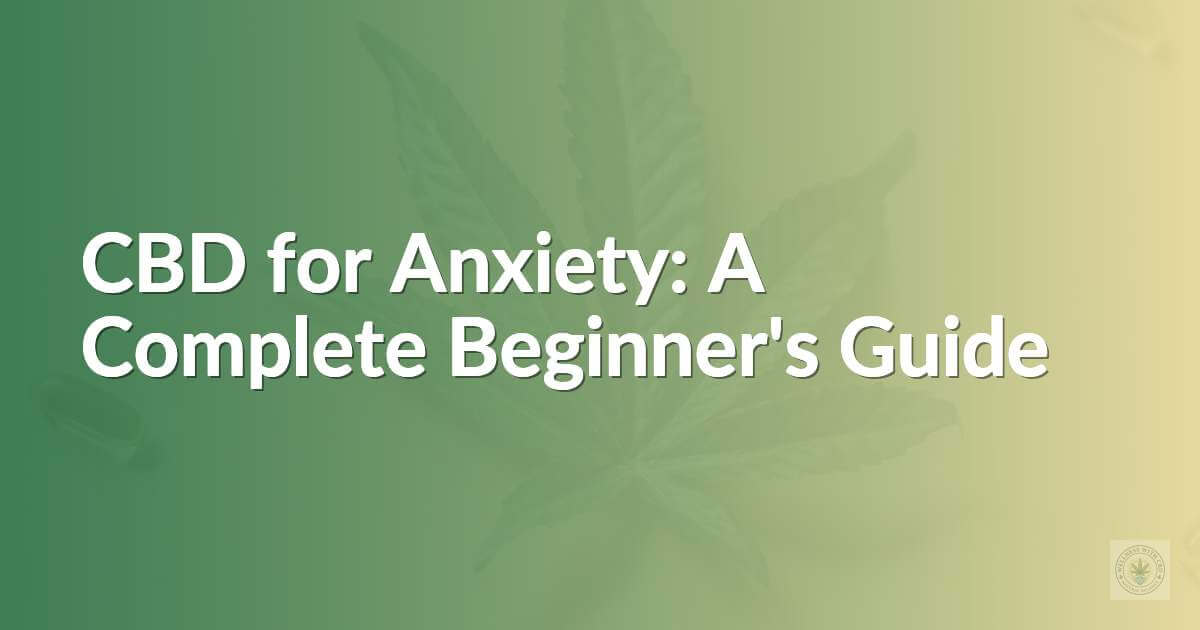 CBD for Anxiety: A Complete Beginner's Guide