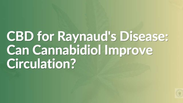 CBD for Raynaud's Disease: Can Cannabidiol Improve Circulation?