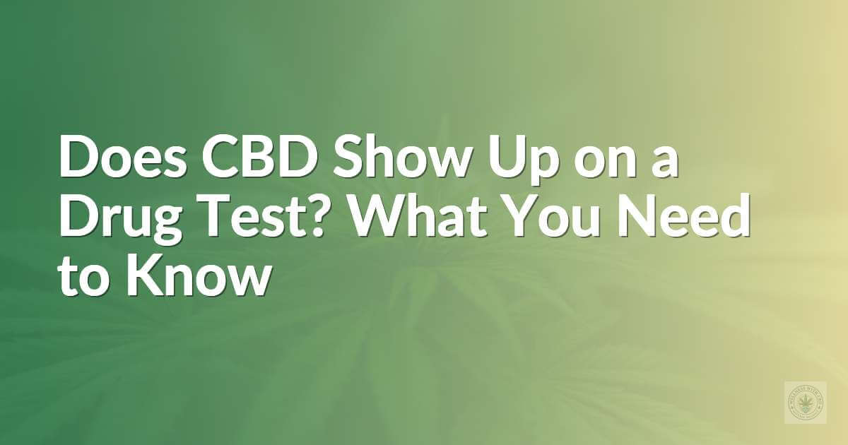 Does CBD Show Up on a Drug Test? What You Need to Know