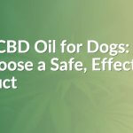 Best CBD Oil for Dogs: How to Choose a Safe, Effective Product