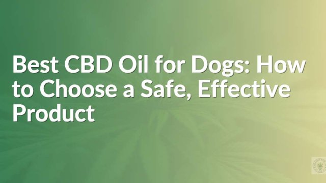 Best CBD Oil for Dogs: How to Choose a Safe, Effective Product