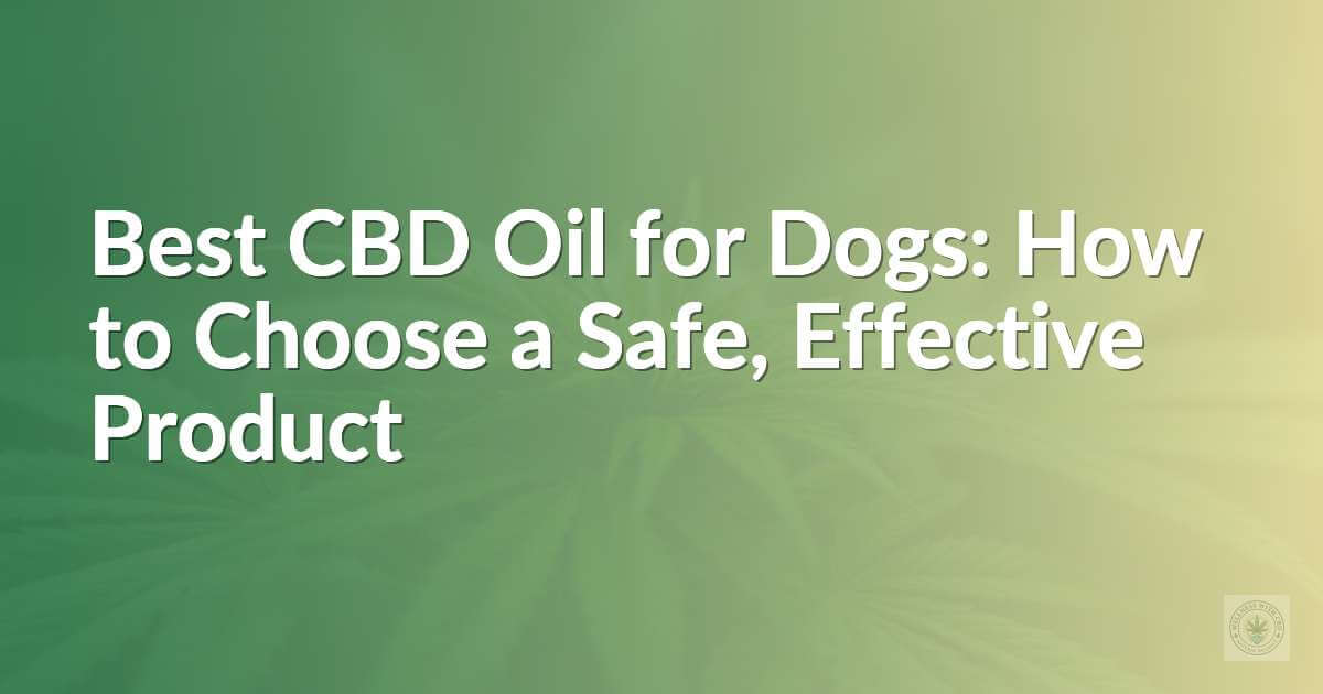 Best CBD Oil for Dogs: How to Choose a Safe, Effective Product