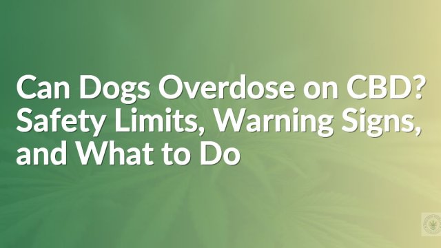 Can Dogs Overdose on CBD? Safety Limits, Warning Signs, and What to Do