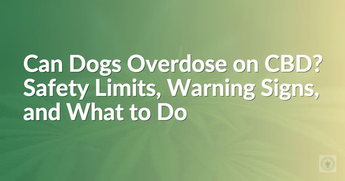 Can Dogs Overdose on CBD? Safety Limits, Warning Signs, and What to Do