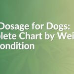 CBD Dosage for Dogs: Complete Chart by Weight and Condition