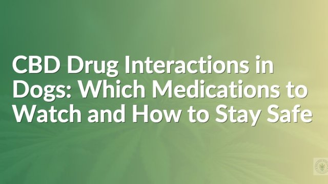 CBD Drug Interactions in Dogs: Which Medications to Watch and How to Stay Safe