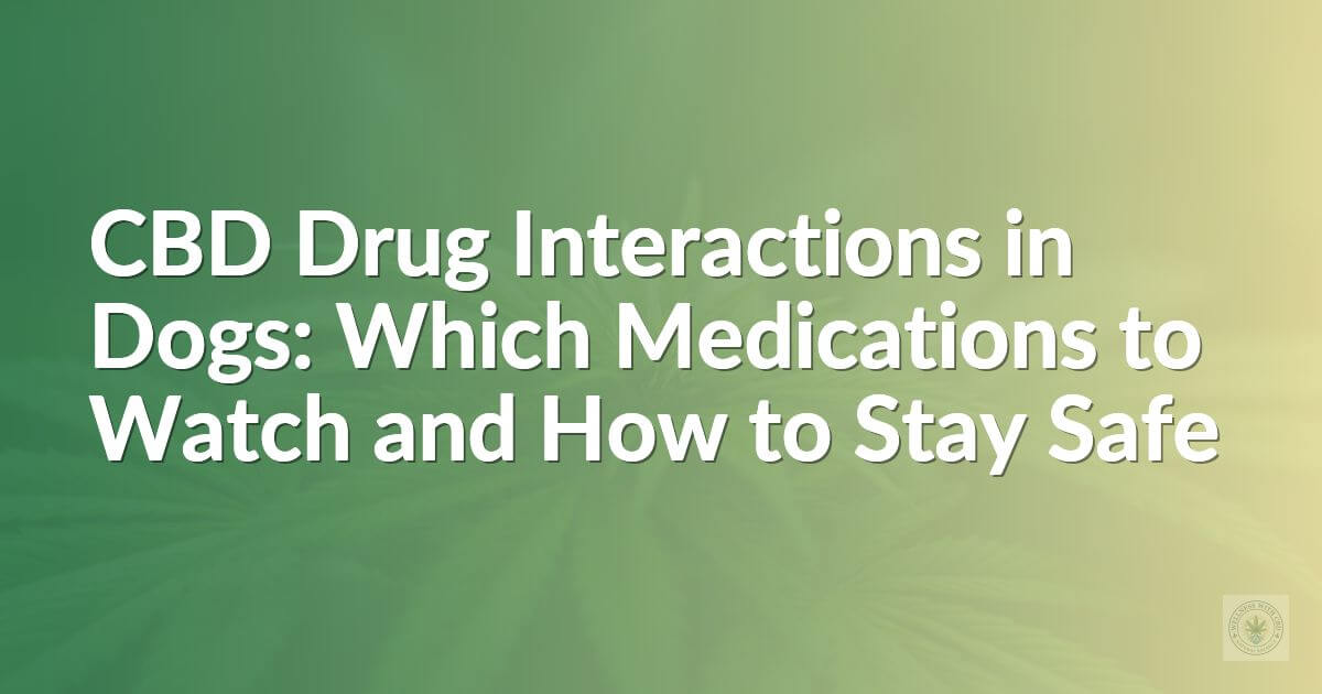 CBD Drug Interactions in Dogs: Which Medications to Watch and How to Stay Safe