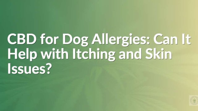 CBD for Dog Allergies: Can It Help with Itching and Skin Issues?