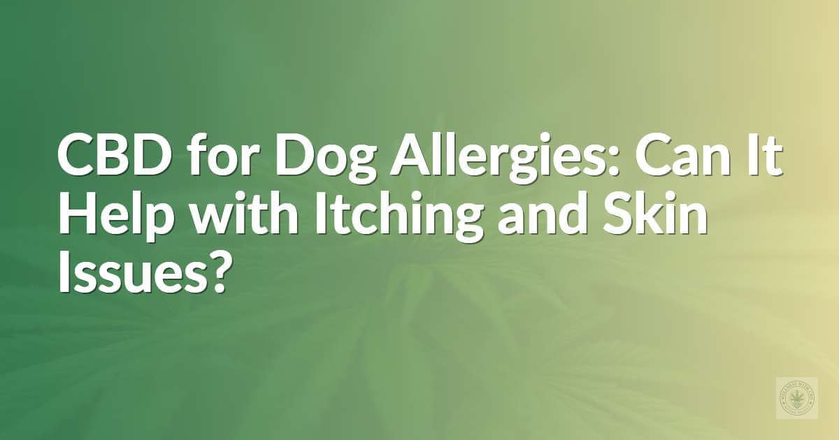CBD for Dog Allergies: Can It Help with Itching and Skin Issues?