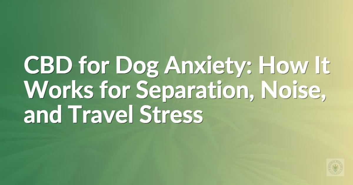 CBD for Dog Anxiety: How It Works for Separation, Noise, and Travel Stress