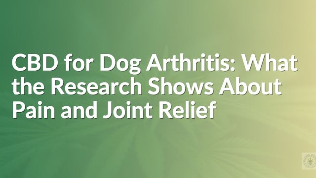 CBD for Dog Arthritis: What the Research Shows About Pain and Joint Relief