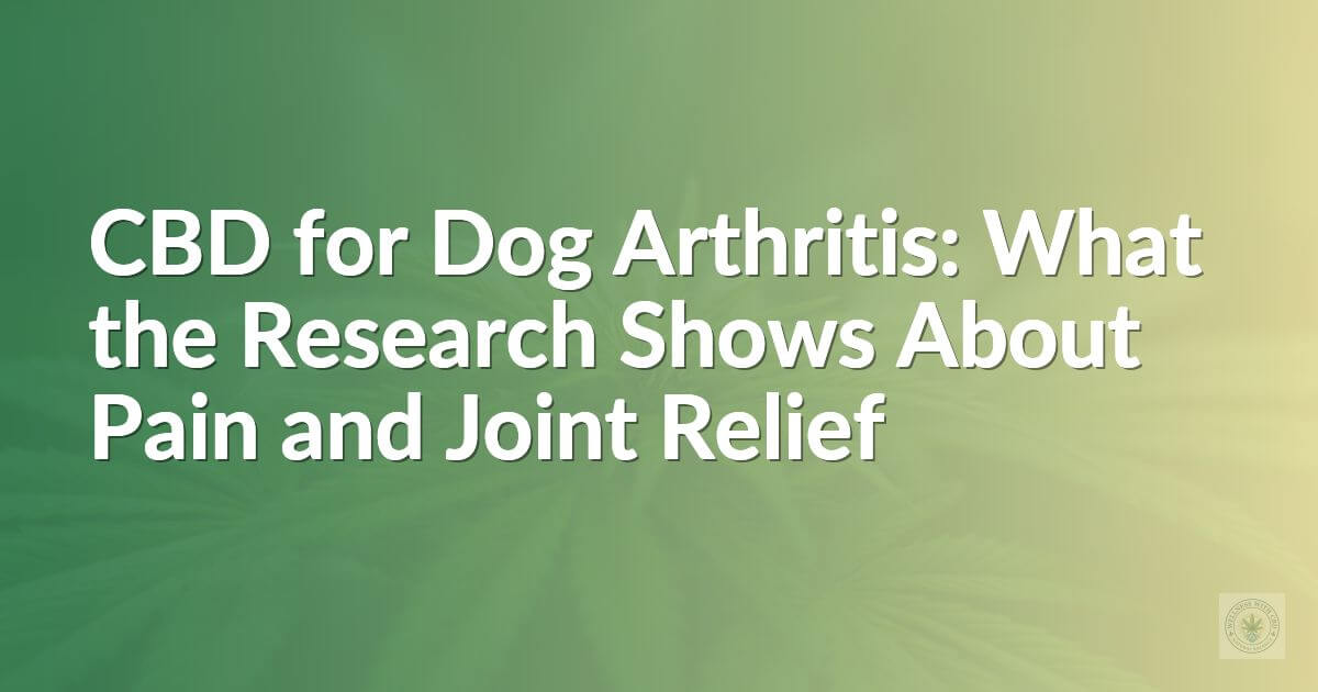 CBD for Dog Arthritis: What the Research Shows About Pain and Joint Relief