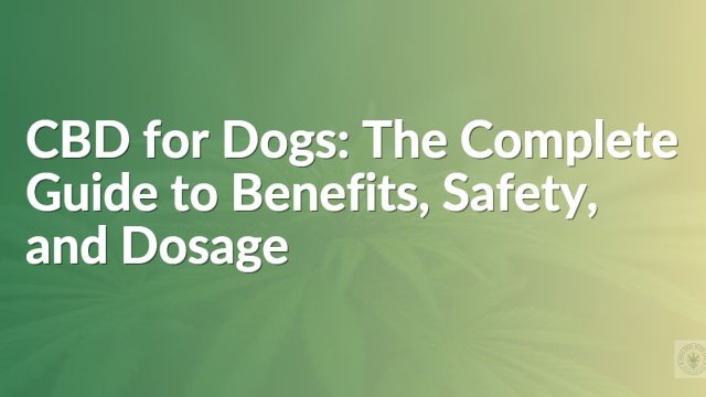 CBD for Dogs: The Complete Guide to Benefits, Safety, and Dosage