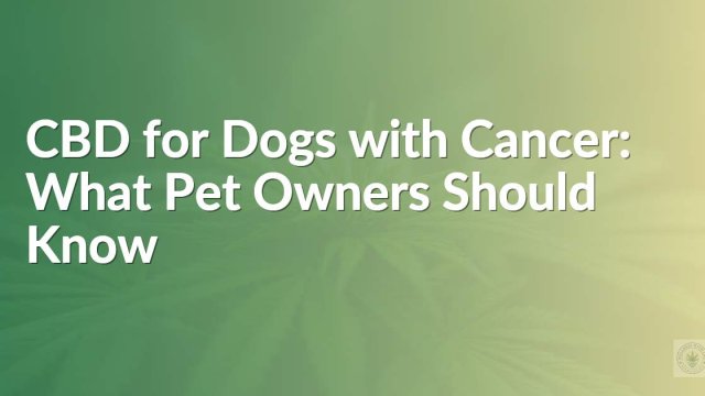 CBD for Dogs with Cancer: What Pet Owners Should Know