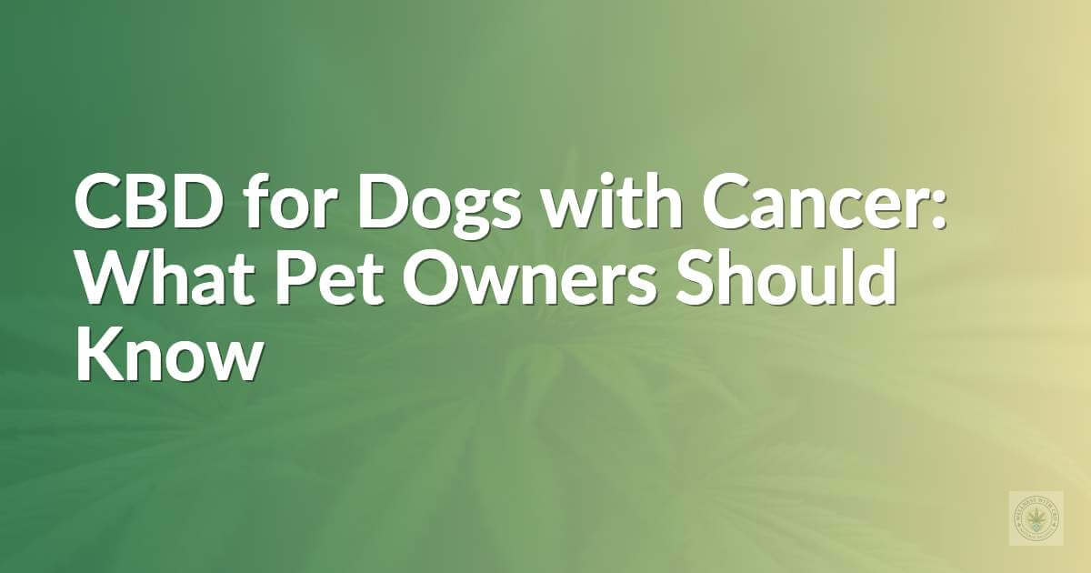 CBD for Dogs with Cancer: What Pet Owners Should Know
