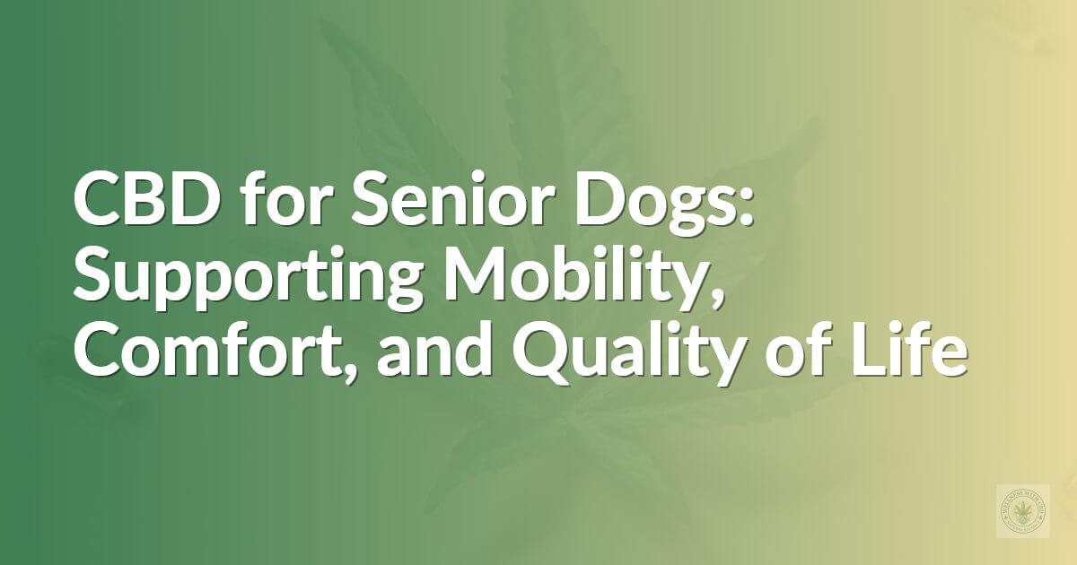 CBD for Senior Dogs: Supporting Mobility, Comfort, and Quality of Life