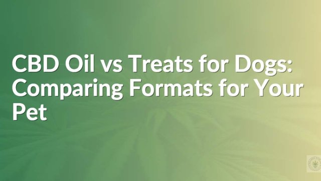CBD Oil vs Treats for Dogs: Comparing Formats for Your Pet