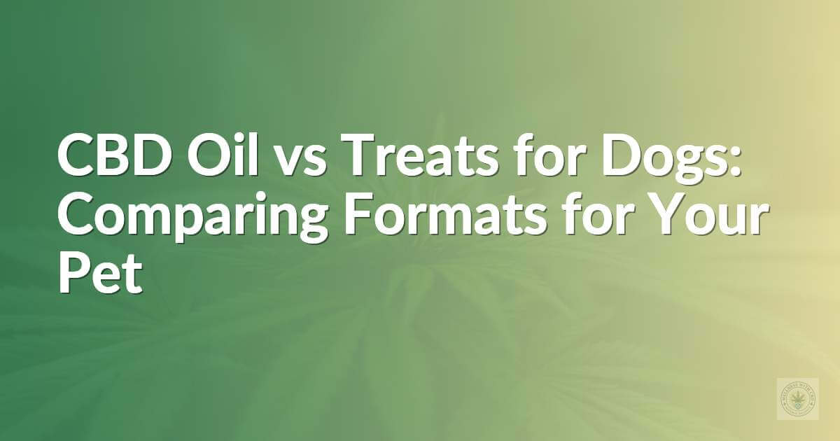 CBD Oil vs Treats for Dogs: Comparing Formats for Your Pet