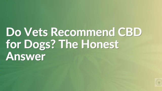 Do Vets Recommend CBD for Dogs? The Honest Answer