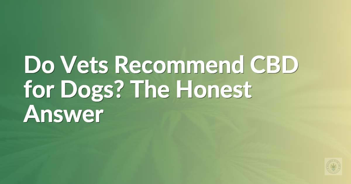 Do Vets Recommend CBD for Dogs? The Honest Answer