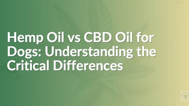 Hemp Oil vs CBD Oil for Dogs: Understanding the Critical Differences