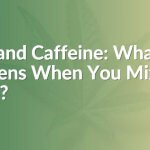 CBD and Caffeine: What Happens When You Mix Them?