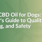 Best CBD Oil for Dogs: A Buyer's Guide to Quality, Dosing, and Safety