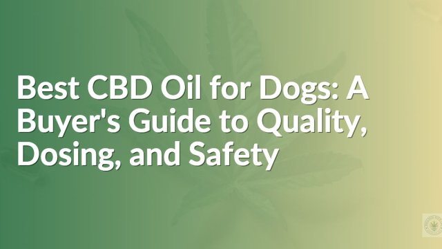 Best CBD Oil for Dogs: A Buyer's Guide to Quality, Dosing, and Safety